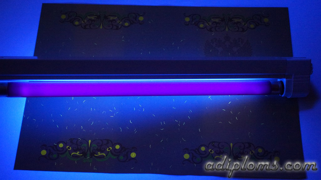 Диплом специалиста 2011-2013 Фото Диплом специалиста 2011-2013 Фото