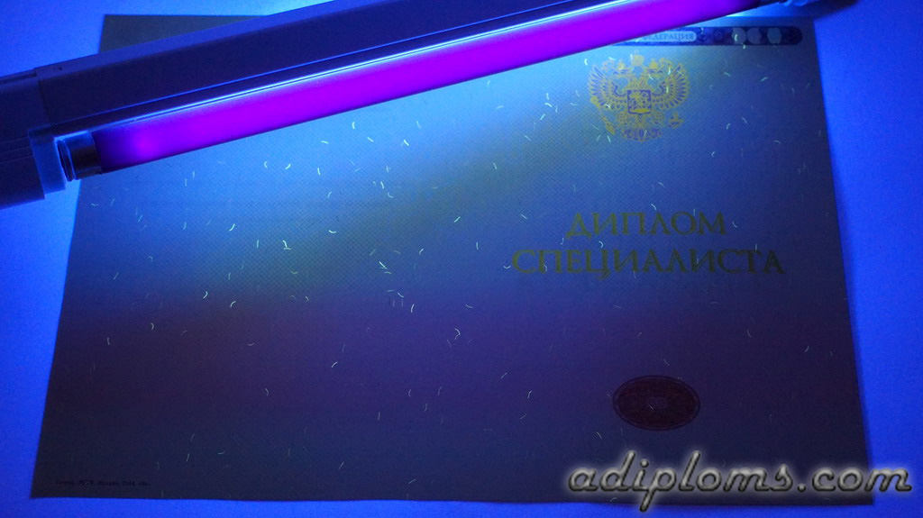 Диплом специалиста 2014-2025 Фото Диплом специалиста 2014-2025 Фото